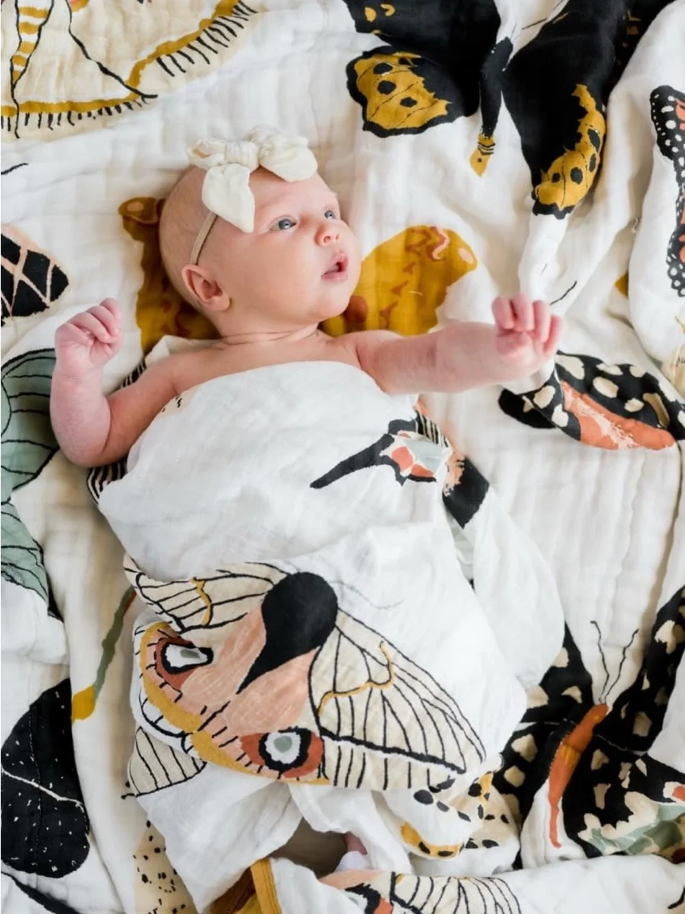 Clementine Kids Butterfly Print Quilt with Mustard Trim - Nursery Bedding
